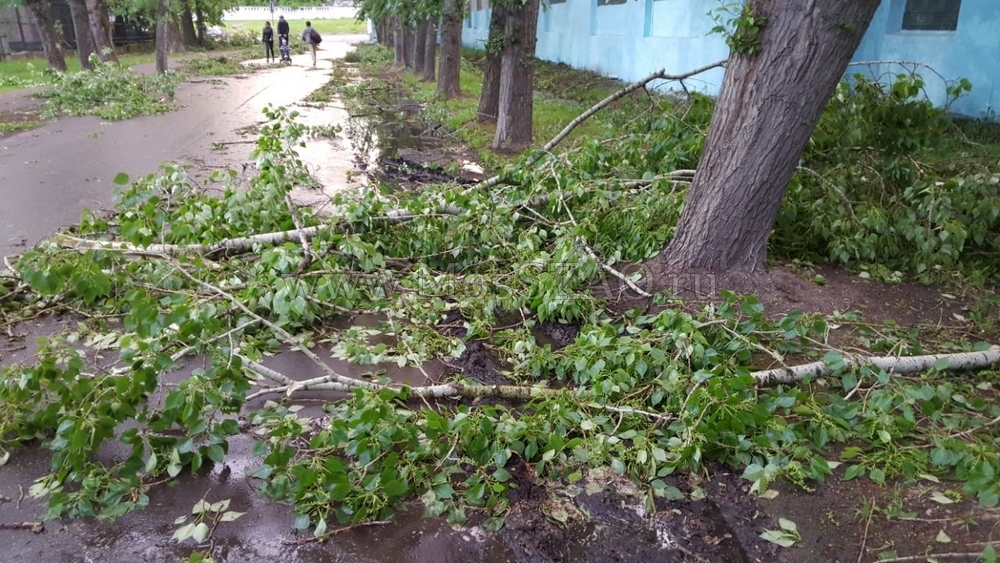 29 мая по СЗАО ударили грозовые дожди и ураганный ветер
